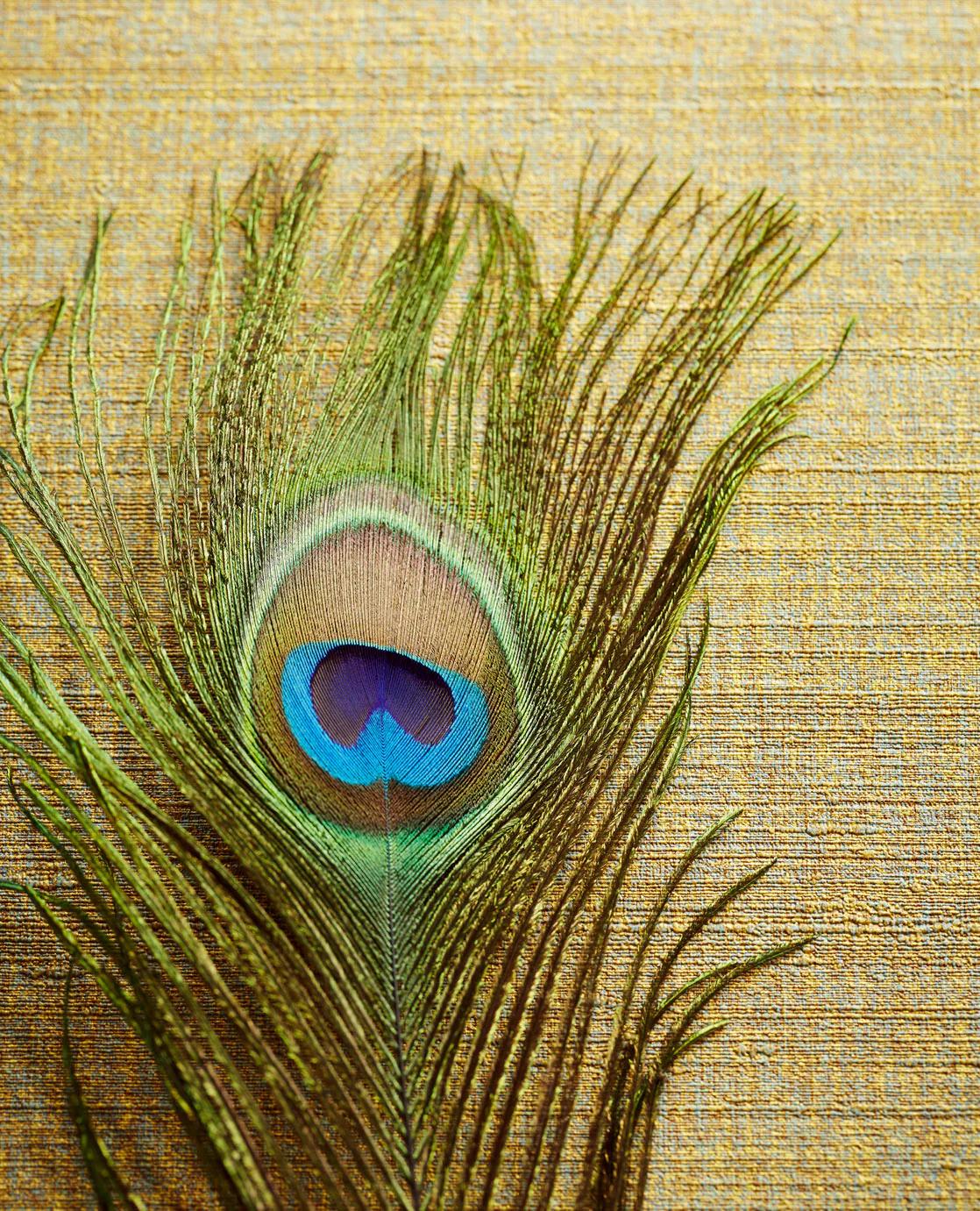 Miniatuur 2