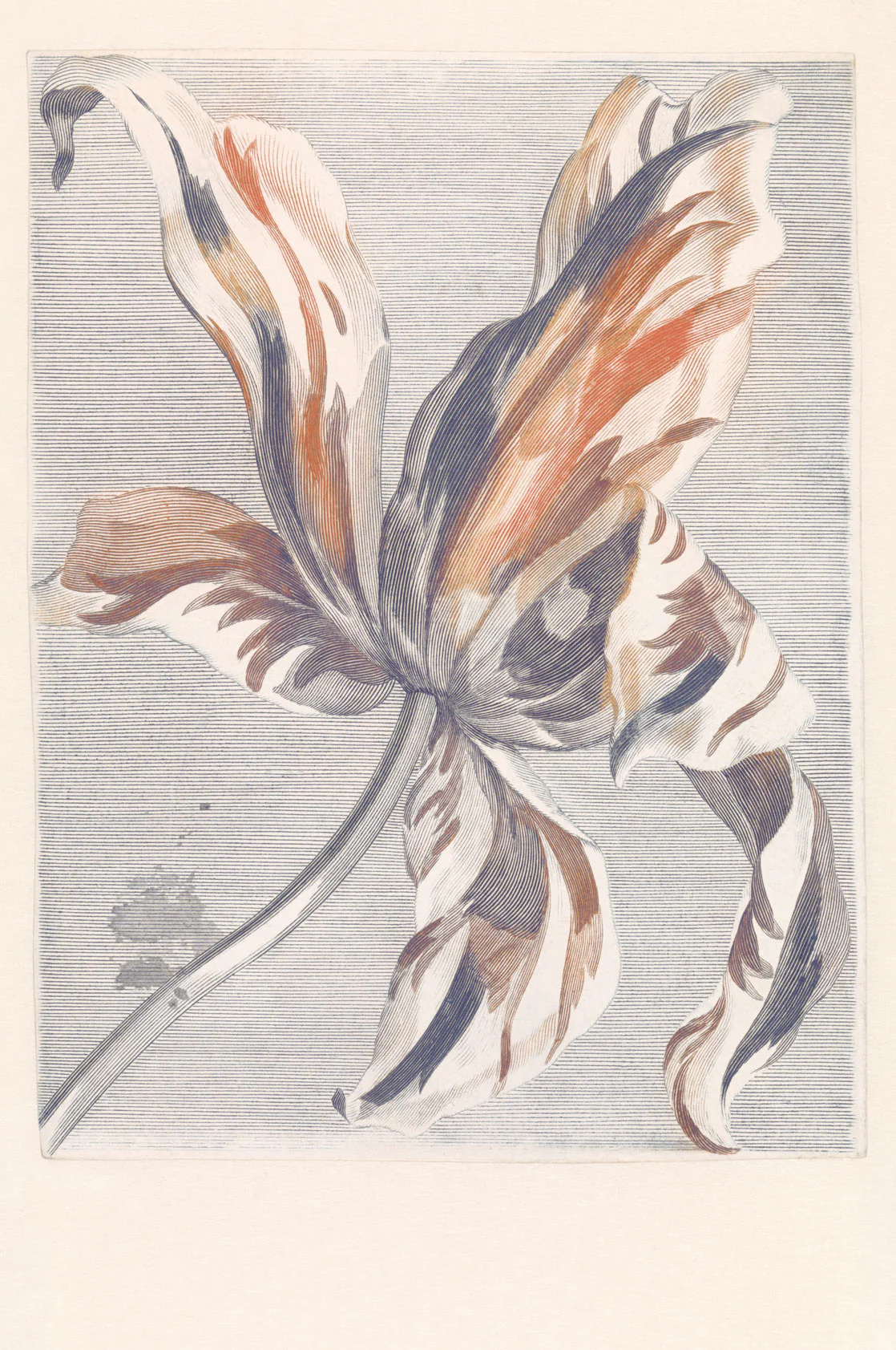 Productafbeelding 1